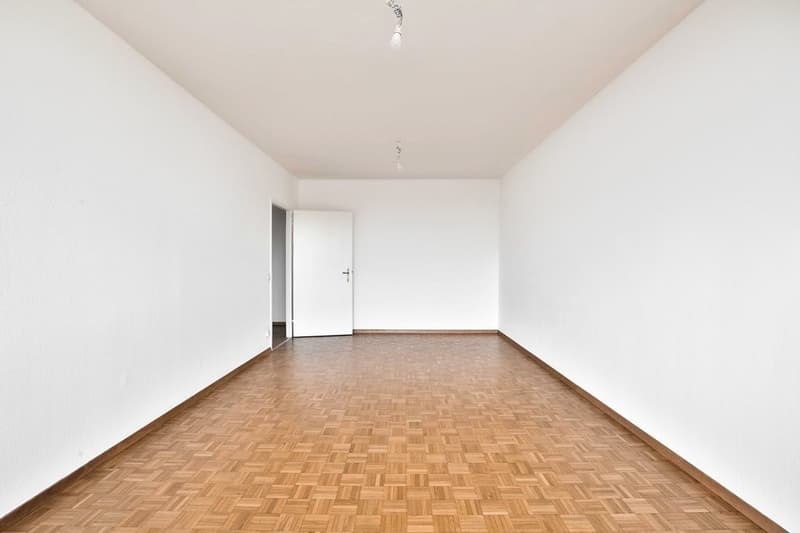 Bel appartement en plein centre du quartier de la Servette (6)