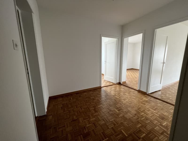 Magnifique 3 pièces dans un quartier calme (1)