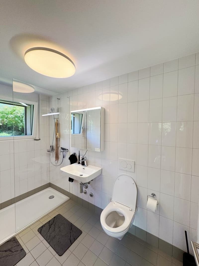 06_Bathroom_Sink_Toilet.jpg