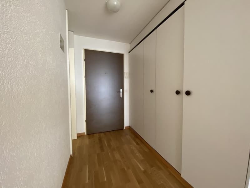 Grosszügige Wohnung mit Terrasse (2)