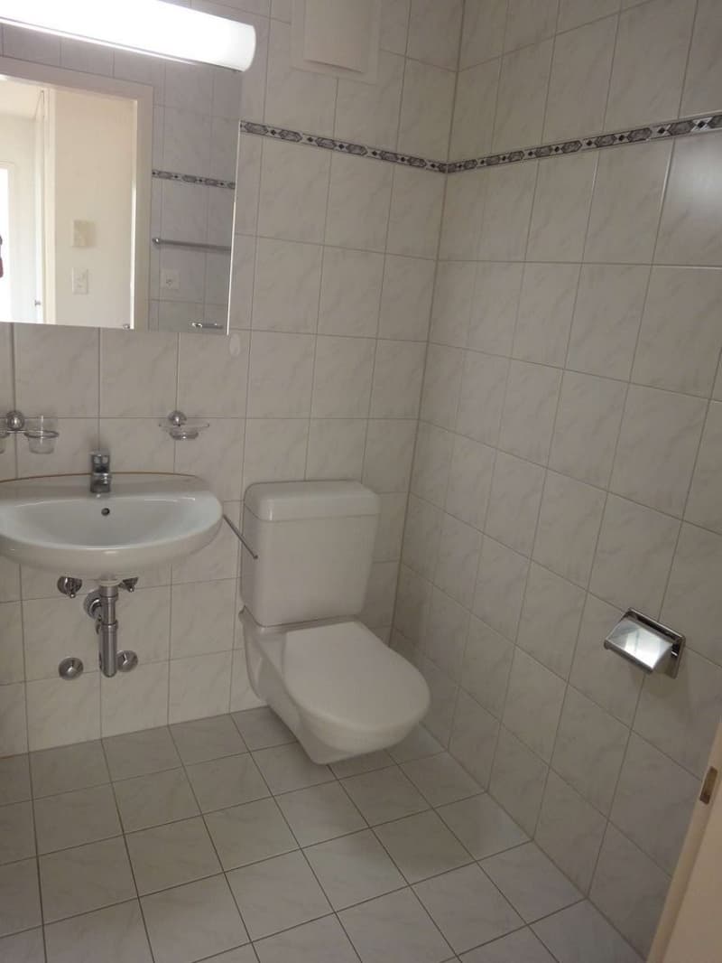 Gemütliche 2-Zimmer-Wohnung in Dübendorf zentral gelegen (5)