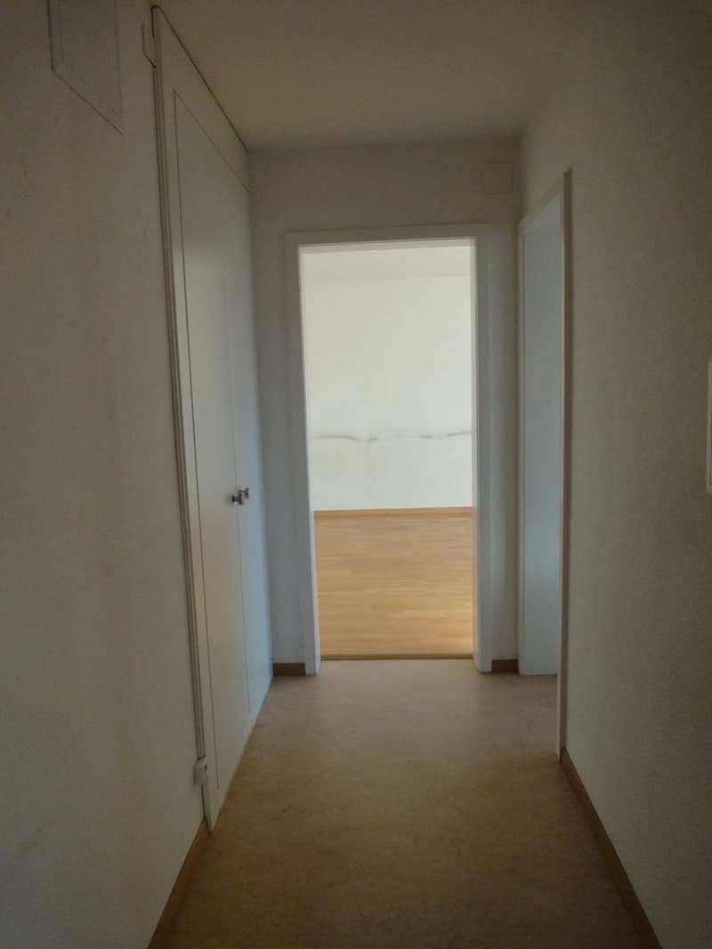 Gemütliche 2-Zimmer-Wohnung in Dübendorf zentral gelegen (2)