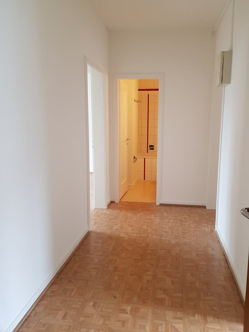 gemütliche ruhige Wohnung (7)