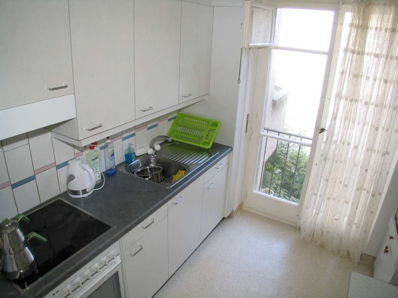 gemütliche ruhige Wohnung (2)