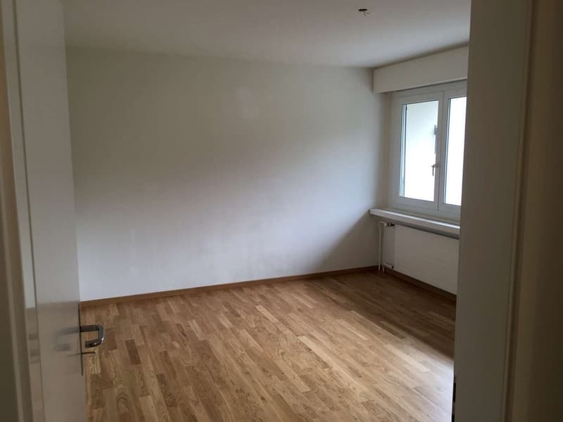 Zimmer_1.png