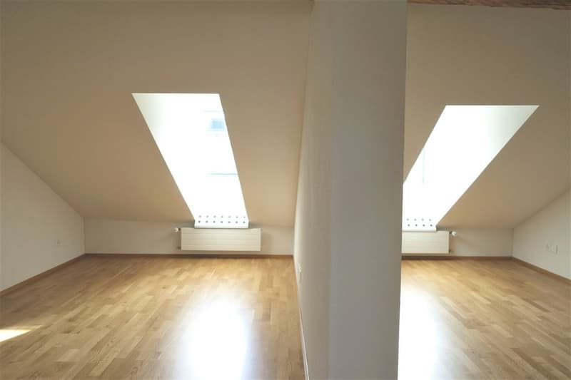 Zimmer1_4546.01.0501.jpg