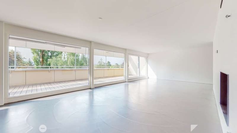 Moderne Attikawohnung direkt am See (5)