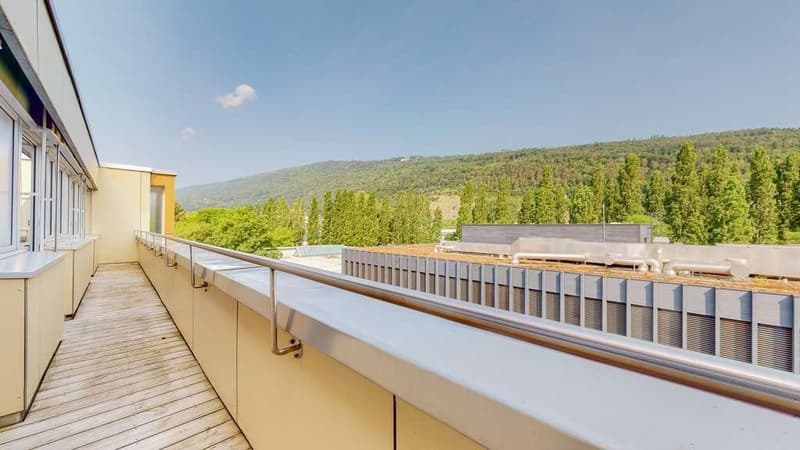 Moderne Attikawohnung direkt am See (11)