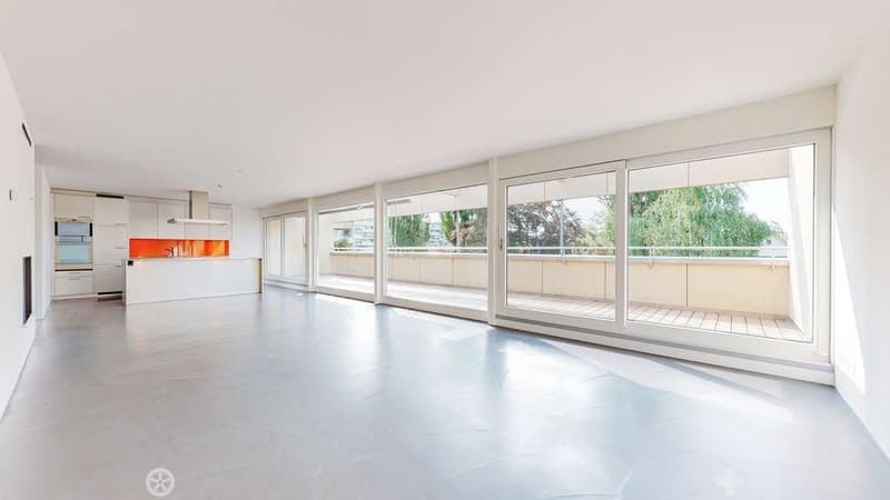 Moderne Attikawohnung direkt am See (6)