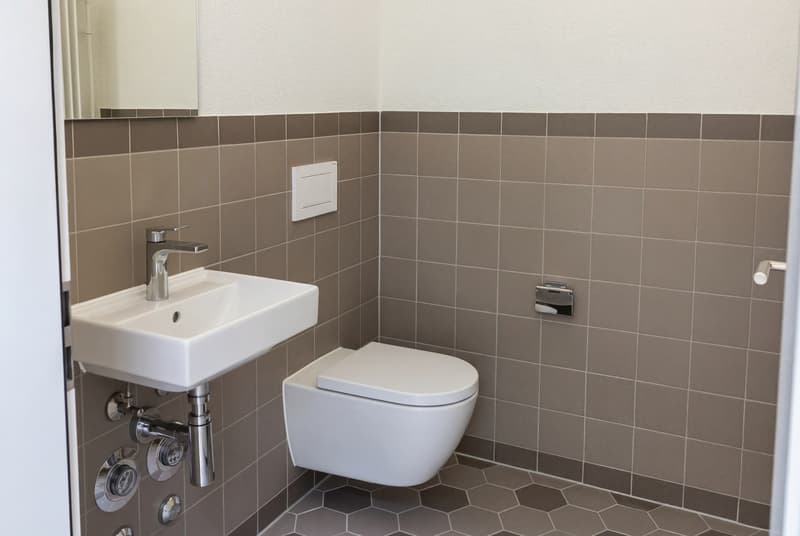Firefly_Gemini Flash_Toiletten deckel schlissen  419437