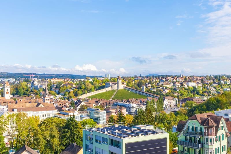 Helle 4.5-Zimmer-Attikawohnung mit Stadtblick (7)