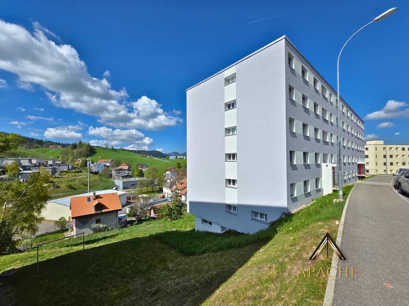 Appartement de 3.5 pièces avec balcon et vue imprenable en position dominante (10)