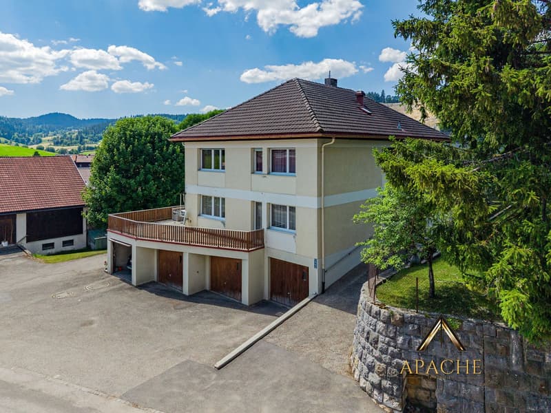 Généreuse maison familiale, 2 appartements pouvant être réunis et 5 garages (3)