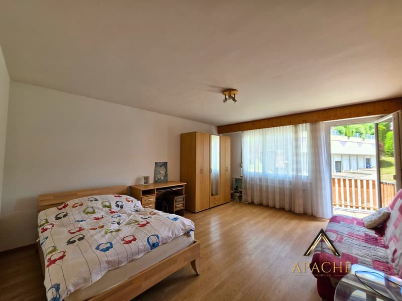 Généreuse maison familiale, 2 appartements pouvant être réunis et 5 garages (12)