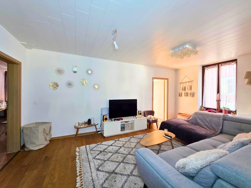 Spacieux et lumineux appartement de 3 pièces (5)