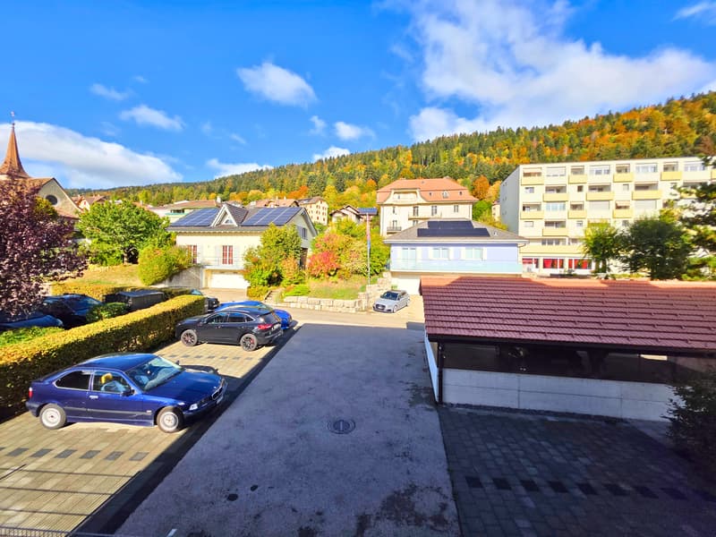 Spacieux et lumineux appartement de 3 pièces (12)
