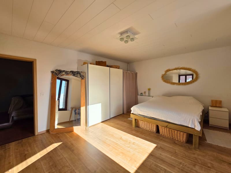 Spacieux et lumineux appartement de 3 pièces (9)