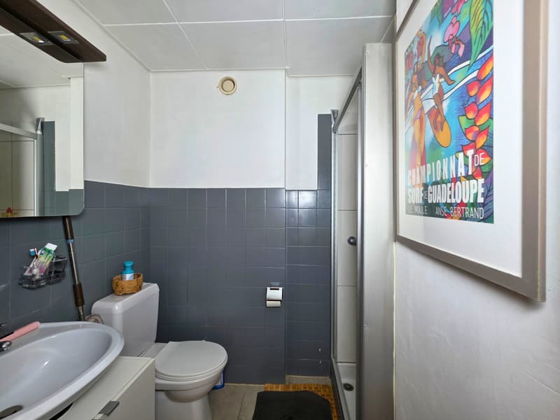 Spacieux et lumineux appartement de 3 pièces (11)