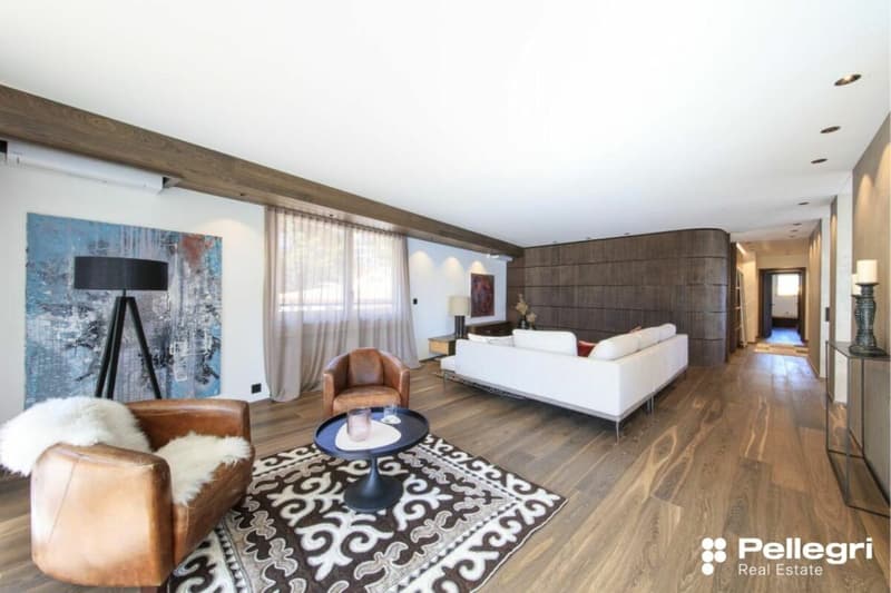 Wunderbare 5.5 Zi.-Penthouse mit Seesicht (2)