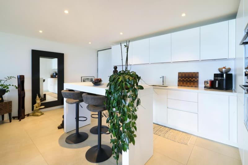 Moderne 3.5 Zi.-Wohnung mit Aussenpool und Seesicht (4)