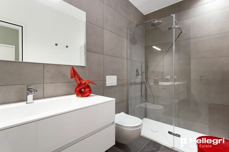 Elegante 4.5 Zi.-Wohnung in zentraler Lage mit grosszügiger Terrasse (6)