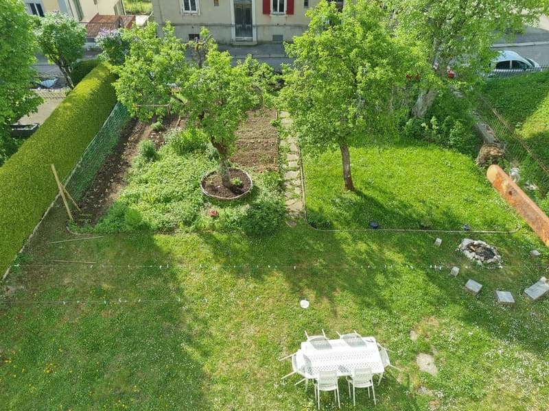 jardin.jpg