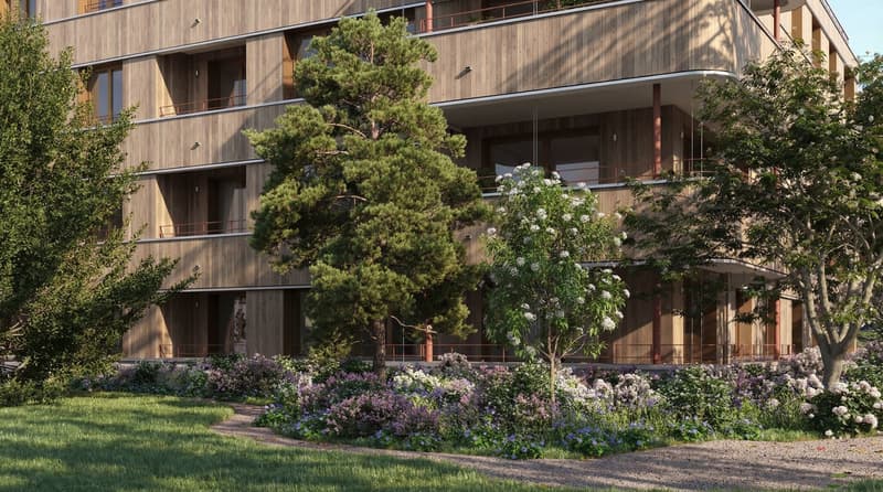 Dernier appartement neuf de 4.5 pièces au rez (4)