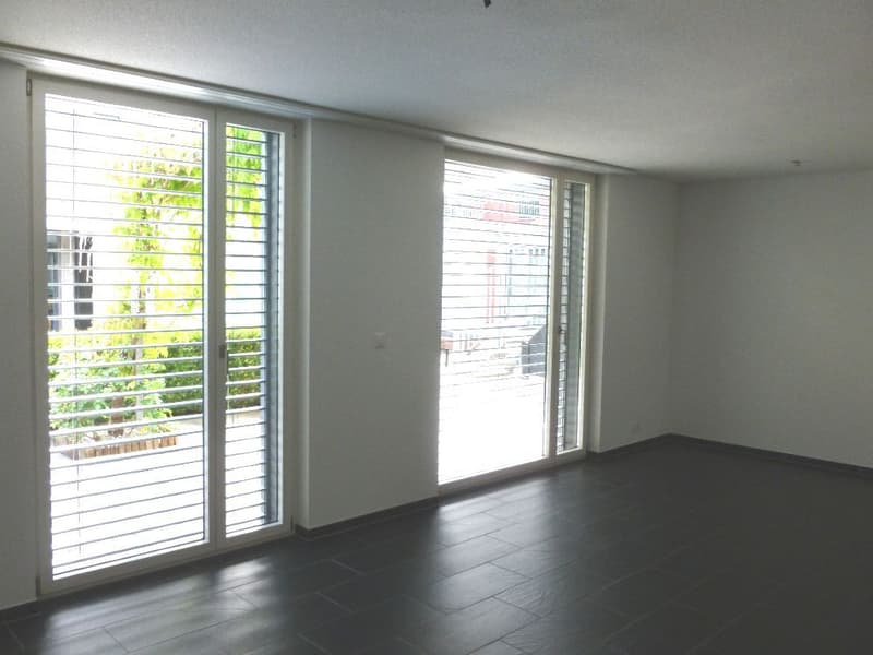 Ruhige 4.5 Zimmerwohnung mitten in Frick zu vermieten (5)