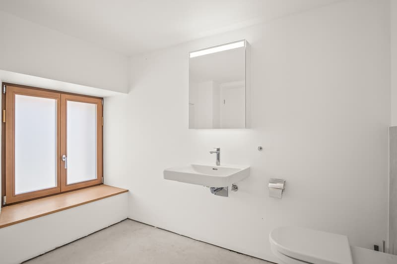 Rare ! Charme indéniable pour cette surface dans un écrin de verdure (5)