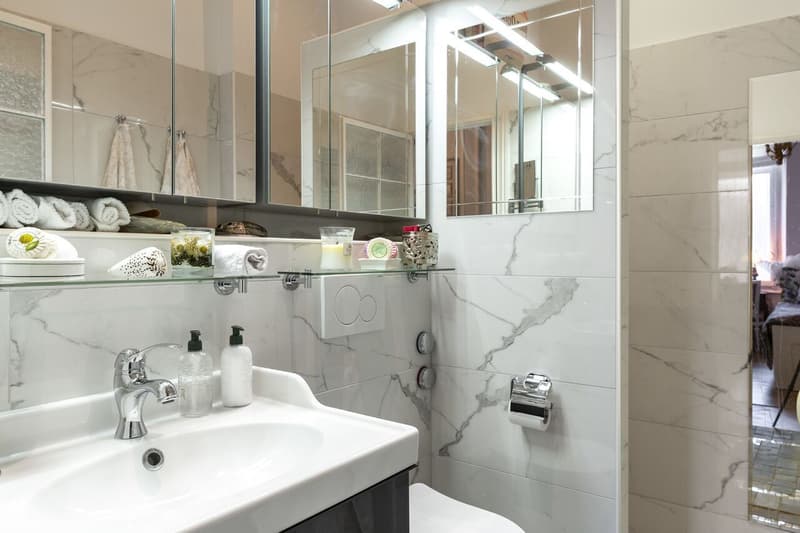Appartement de style dans un immeuble Belle-Epoque (7)