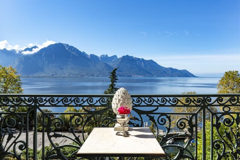 Appartement de style dans un immeuble Belle-Epoque (11)