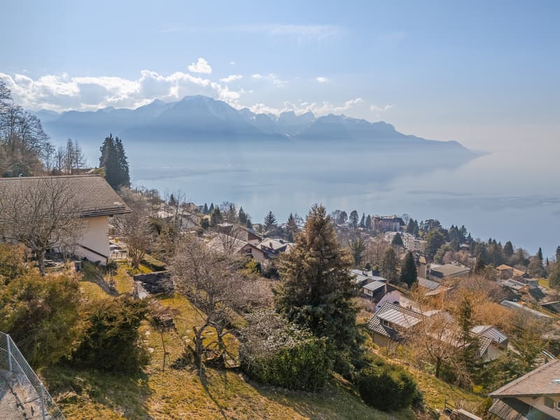 Chalet avec panorama exceptionnel sur le lac Léman ! (2)