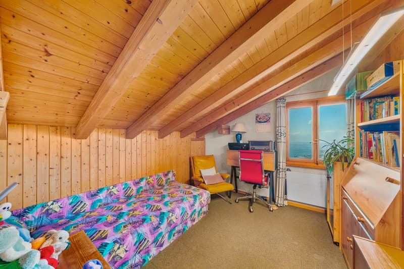 Chalet avec panorama exceptionnel sur le lac Léman ! (8)