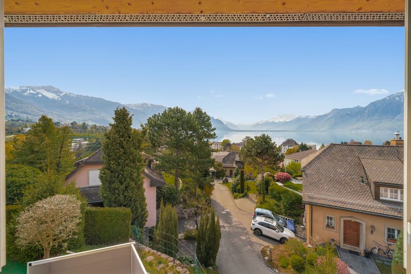 Quartier prisé, cadre résidentiel et vue panoramique sur le lac (2)