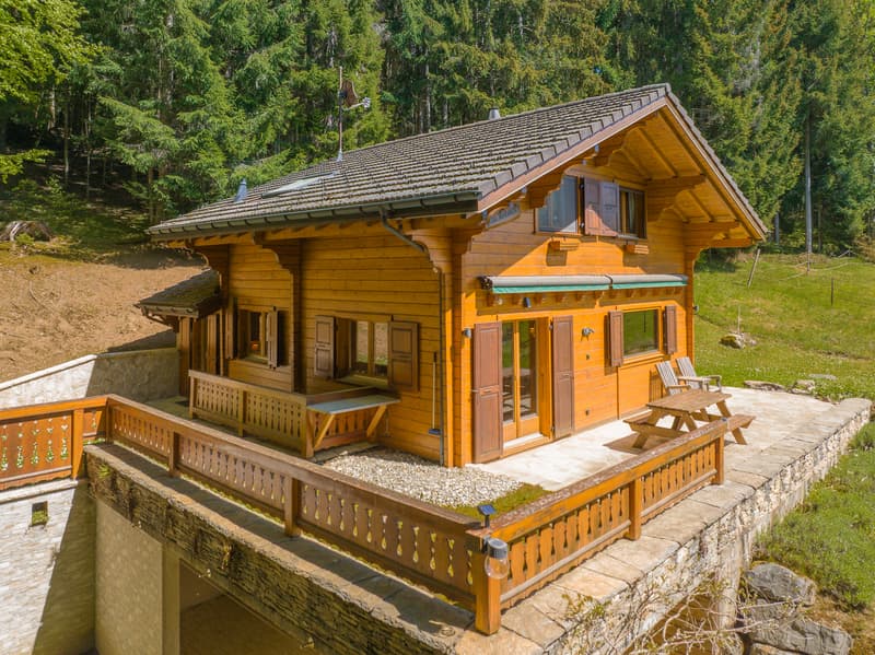 Un refuge alpin au coeur de la nature - clairière privée & art de vivre alpin Animaux alpins devant la fenêtre au quotidien ! (2)
