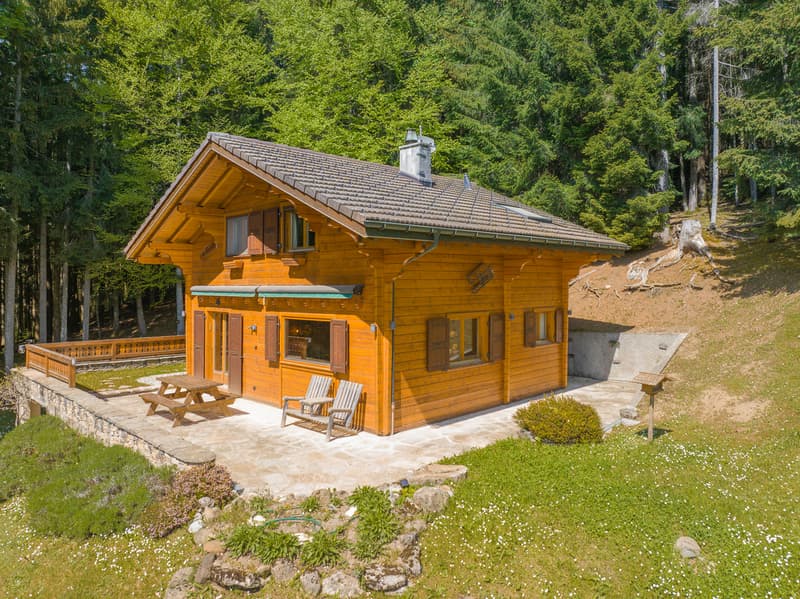 Un refuge alpin au coeur de la nature - clairière privée & art de vivre alpin Animaux alpins devant la fenêtre au quotidien ! (13)