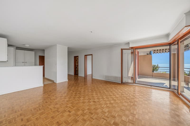 Pied dans l'eau rare -Sale open to non-resident foreign buyers Clarens/Montreux (4)