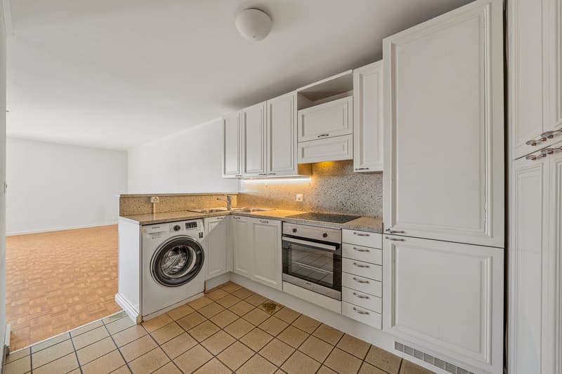 Pied dans l'eau rare -Sale open to non-resident foreign buyers Clarens/Montreux (8)