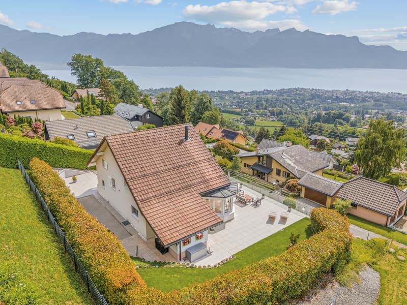 Villa d'architecte - un havre de paix dominant le lac Léman (4)