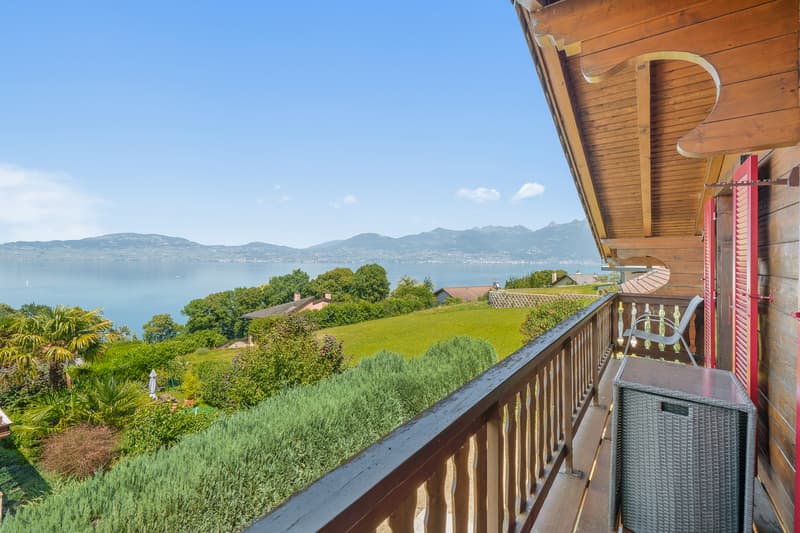 Vue imprenable sur le Léman, calme absolu (11)