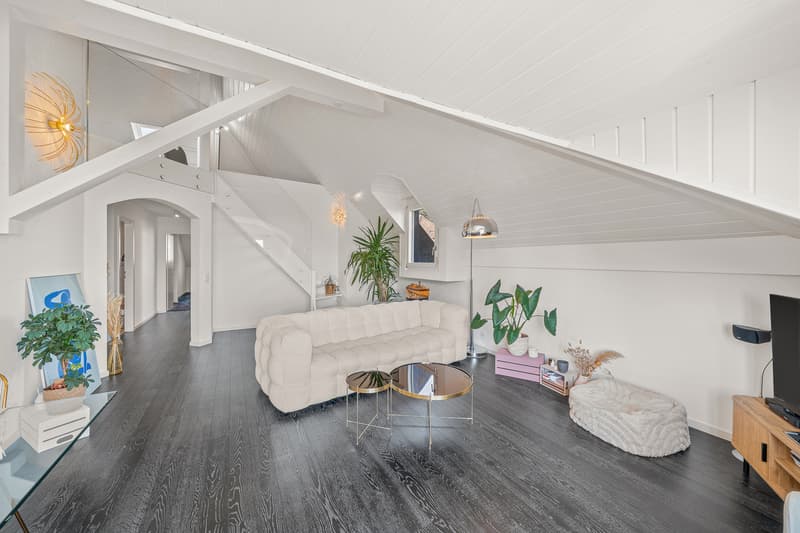 Superbe duplex alliant confort, vue lac et situation privilégiée (3)