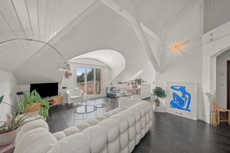 Superbe duplex alliant confort, vue lac et situation privilégiée (1)