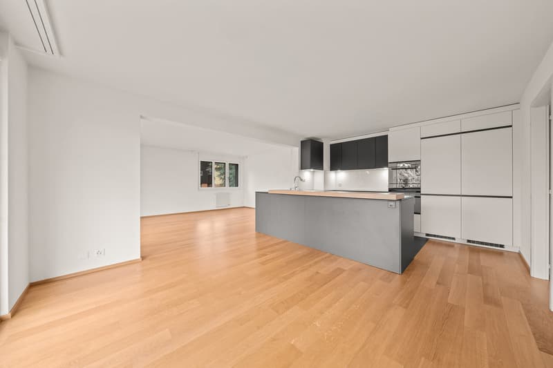 Opportunité unique spacieux appartement dans un cadre paisible vue lac (1)