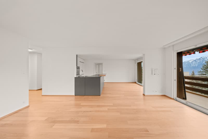 Opportunité unique spacieux appartement dans un cadre paisible vue lac (5)