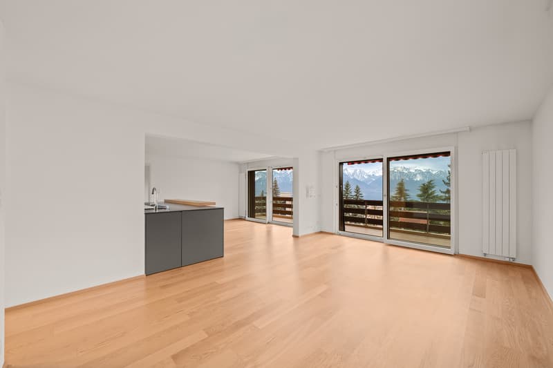 Opportunité unique spacieux appartement dans un cadre paisible vue lac (4)