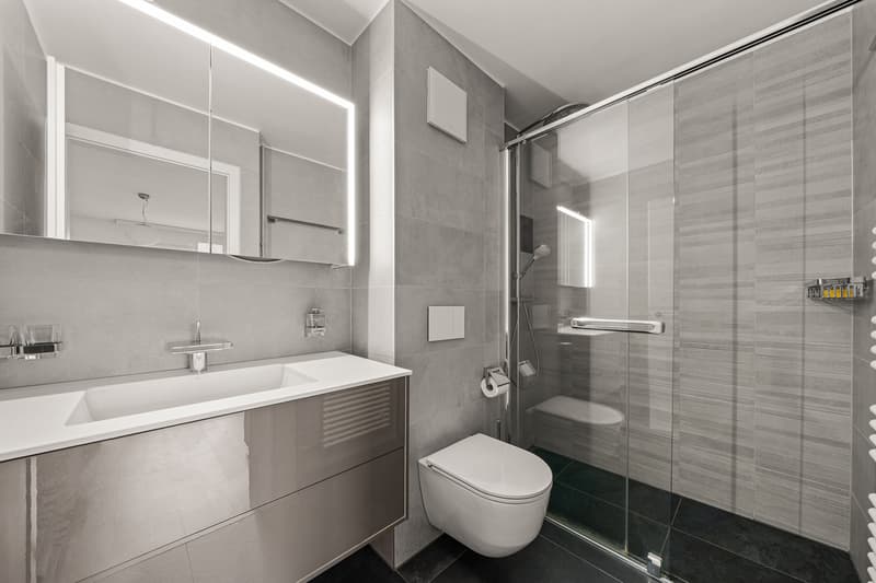 Opportunité unique spacieux appartement dans un cadre paisible vue lac (8)