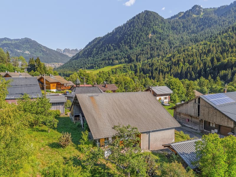 La Typique - deux logements neufs - haut de gamme Porte du Soleil (4)