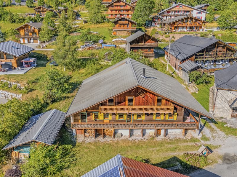 La Typique - deux logements neufs - haut de gamme Porte du Soleil (1)