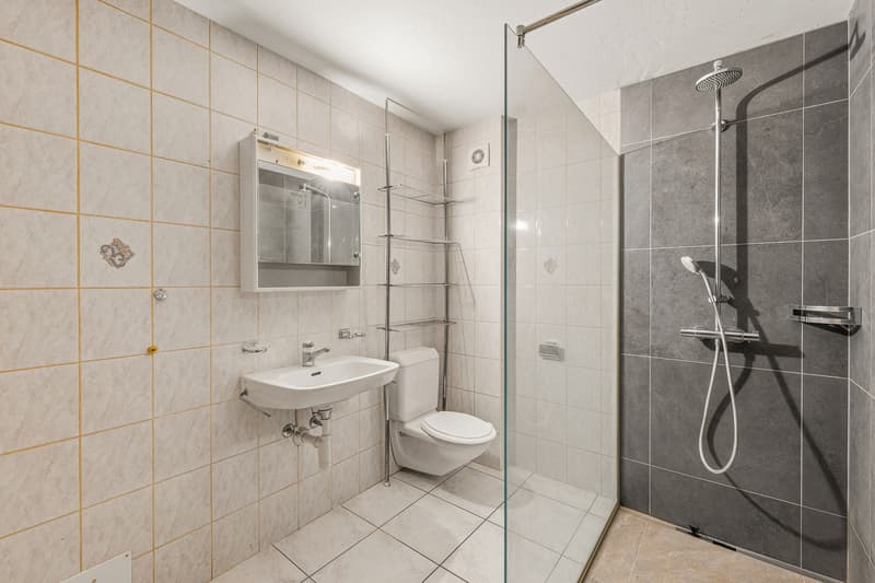 Spacieux duplex au coeur du village (8)
