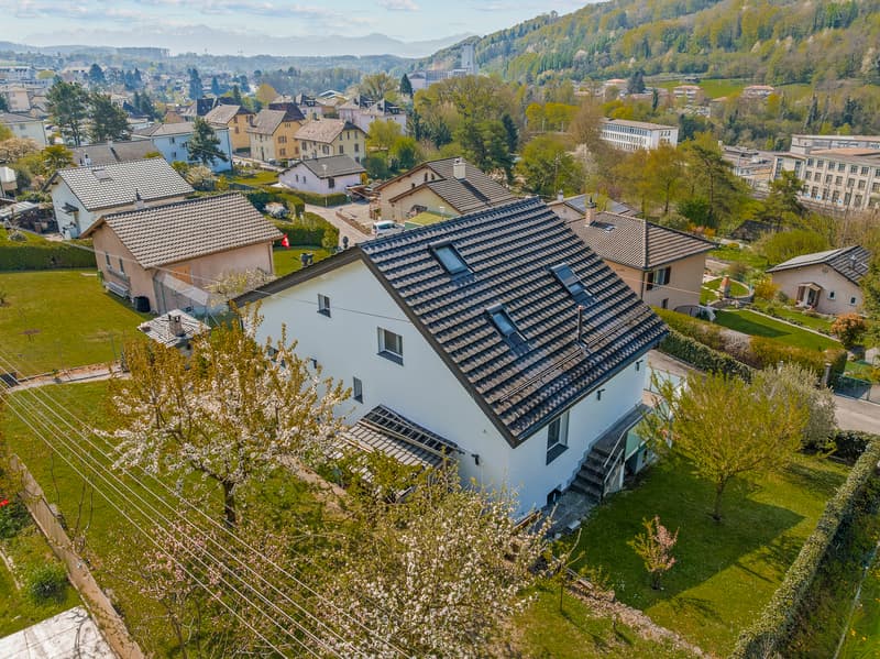 Magnifique maison individuelle dans un quartier calme et résidentiel (2)